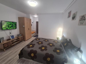 Siriului Studio
